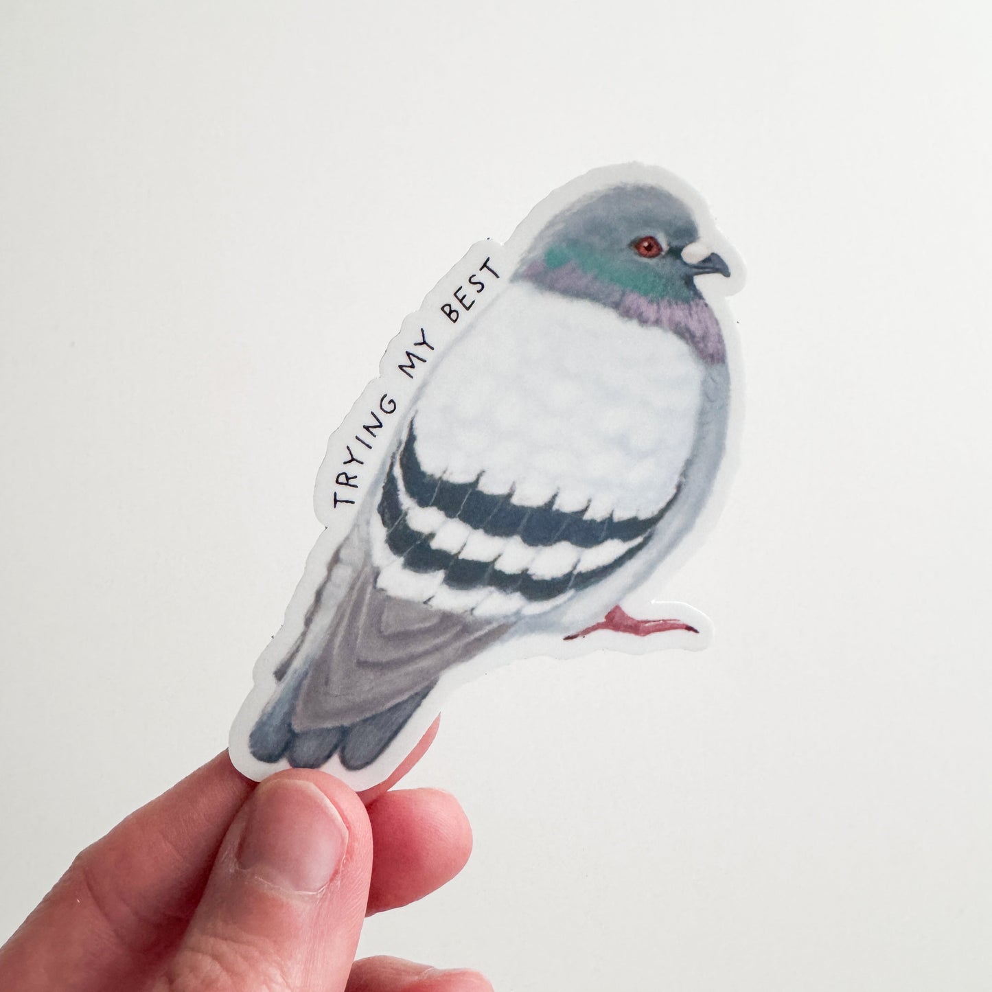 Trying My Best Pigeon Sticker