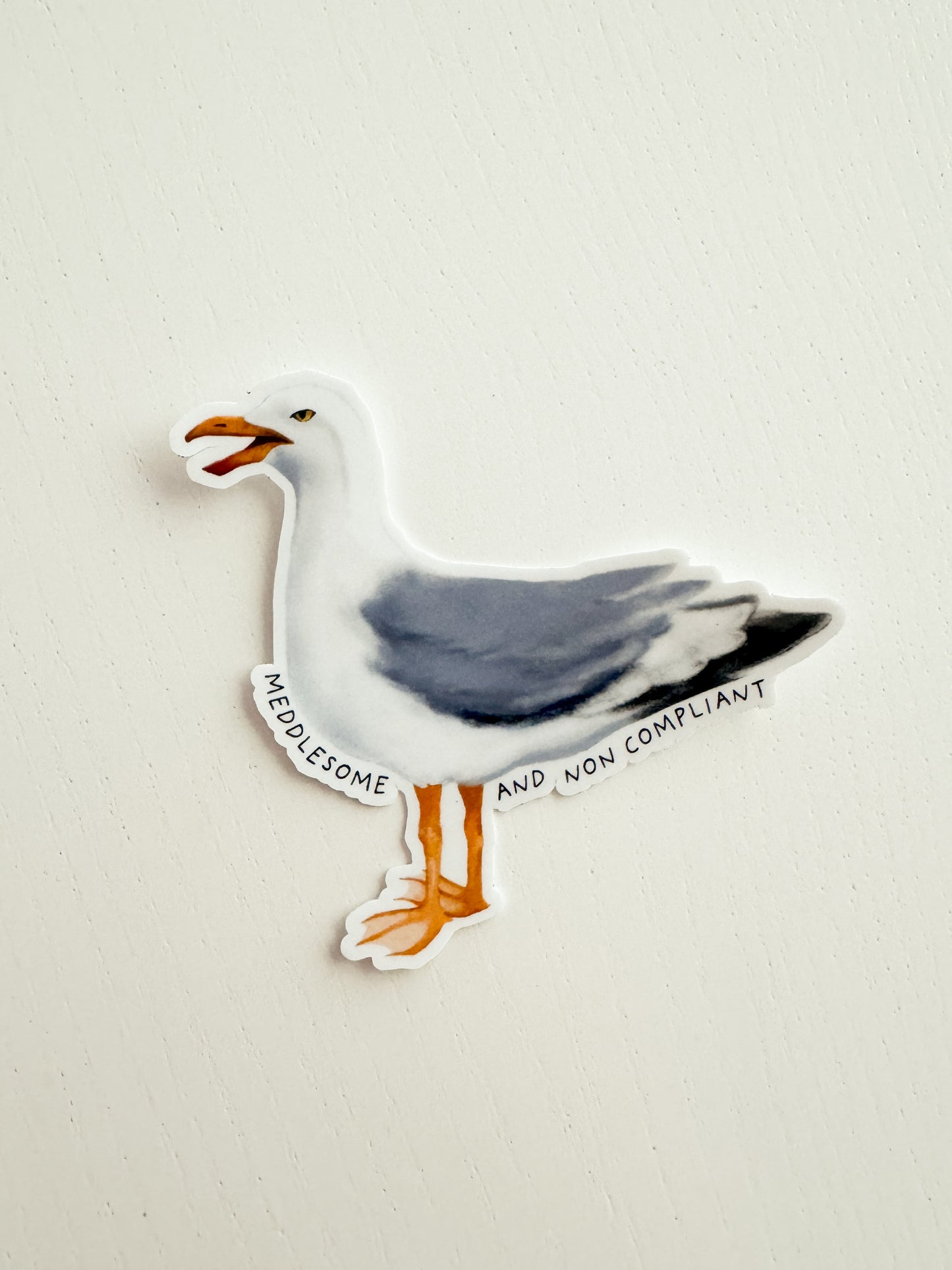 Meddlesome And Non Compliant Seagull Sticker
