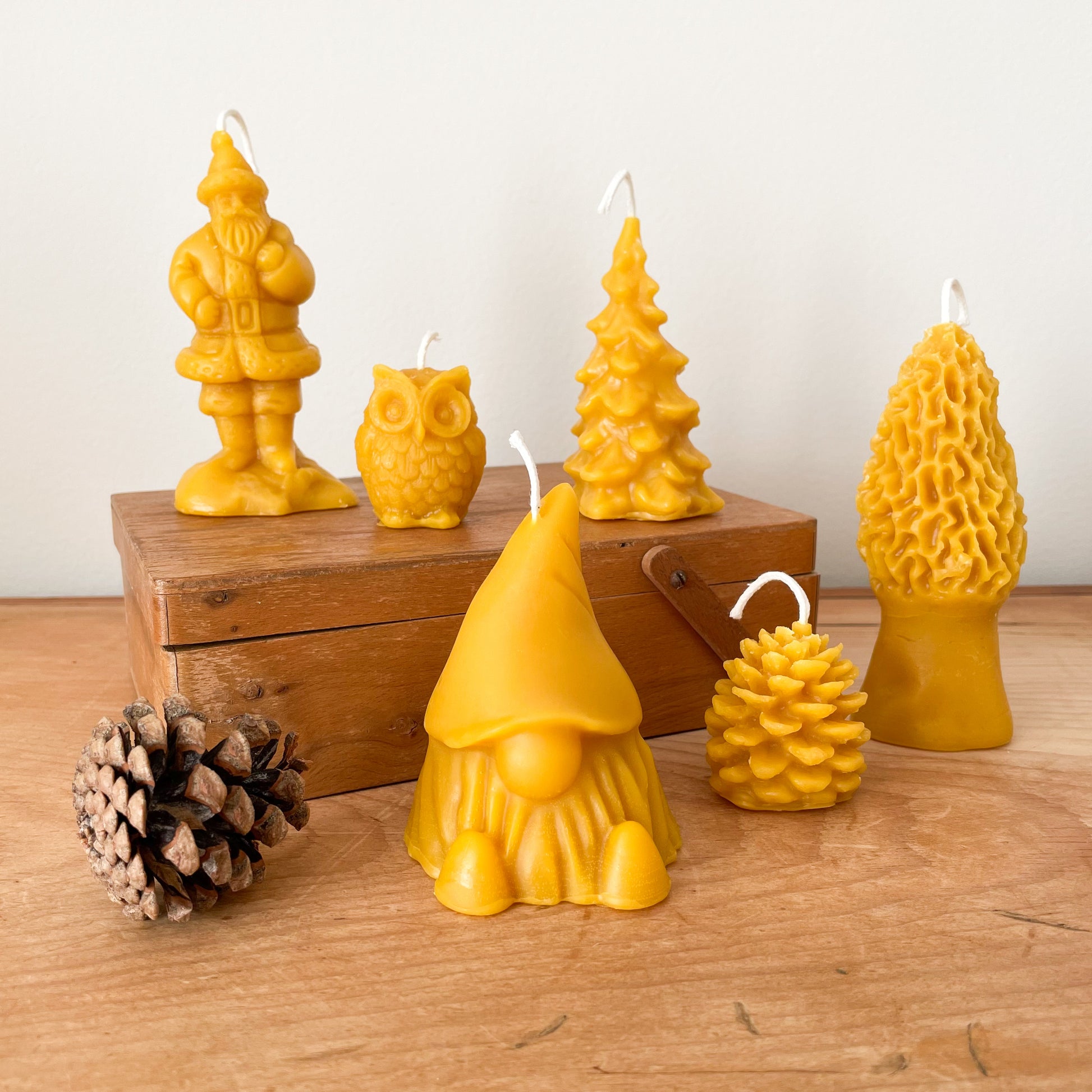 Morel Mushroom Beeswax Candle