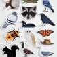 Loon Sticker