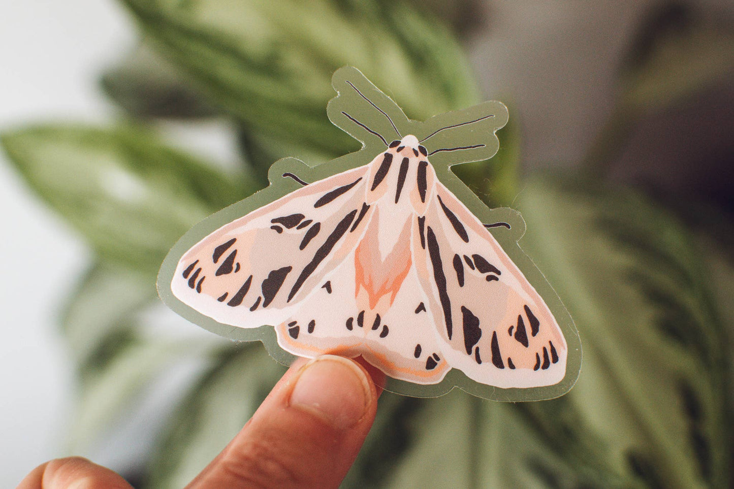 Pink Tiger Moth Sticker