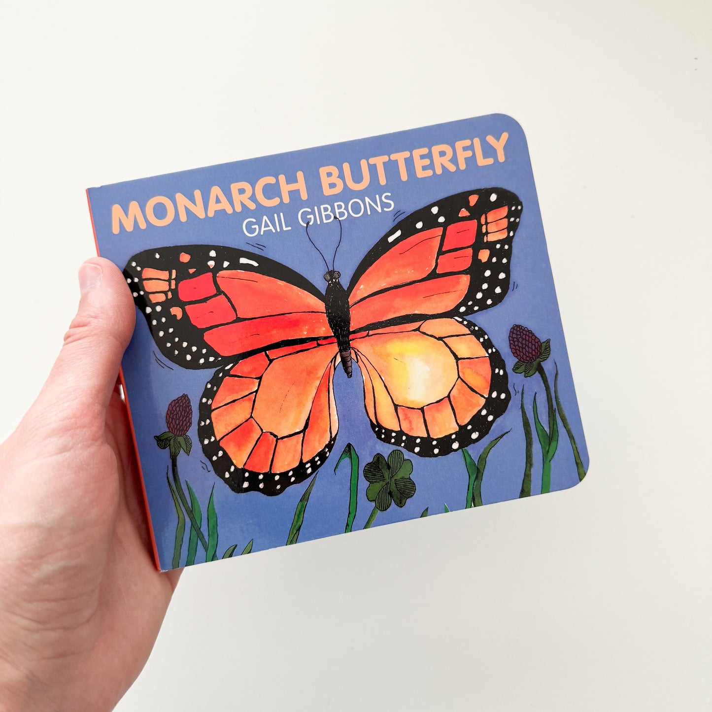 Monarch Butterfly Board Book