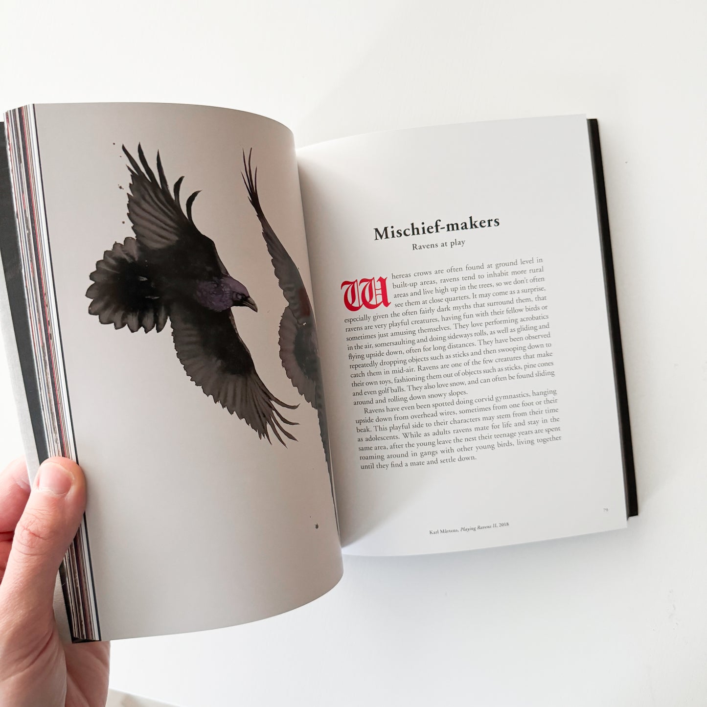 The Book of the Raven: Corvids in Art and Legend