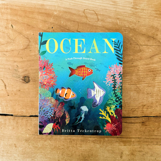 Ocean: A Peek-Through Board Book