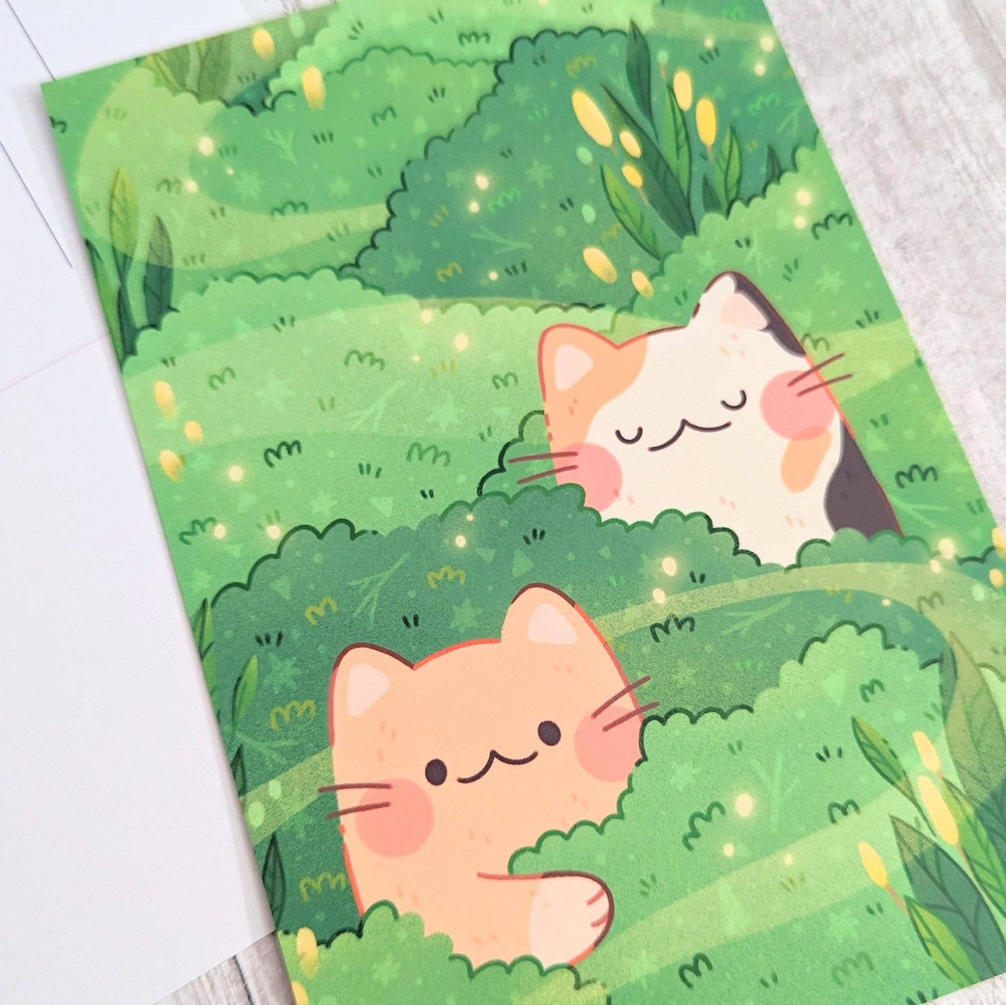 Hideaway Cats Postcard