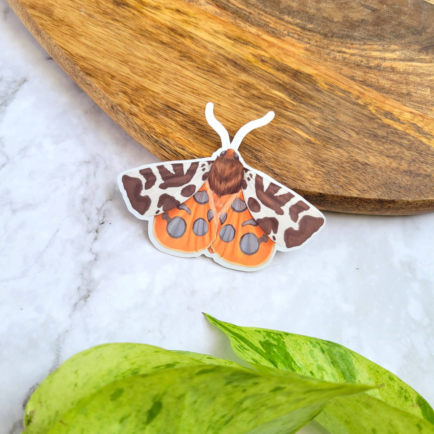 Tiger Moth Sticker