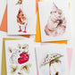 King Goose Card