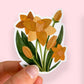 Daffodil Sticker