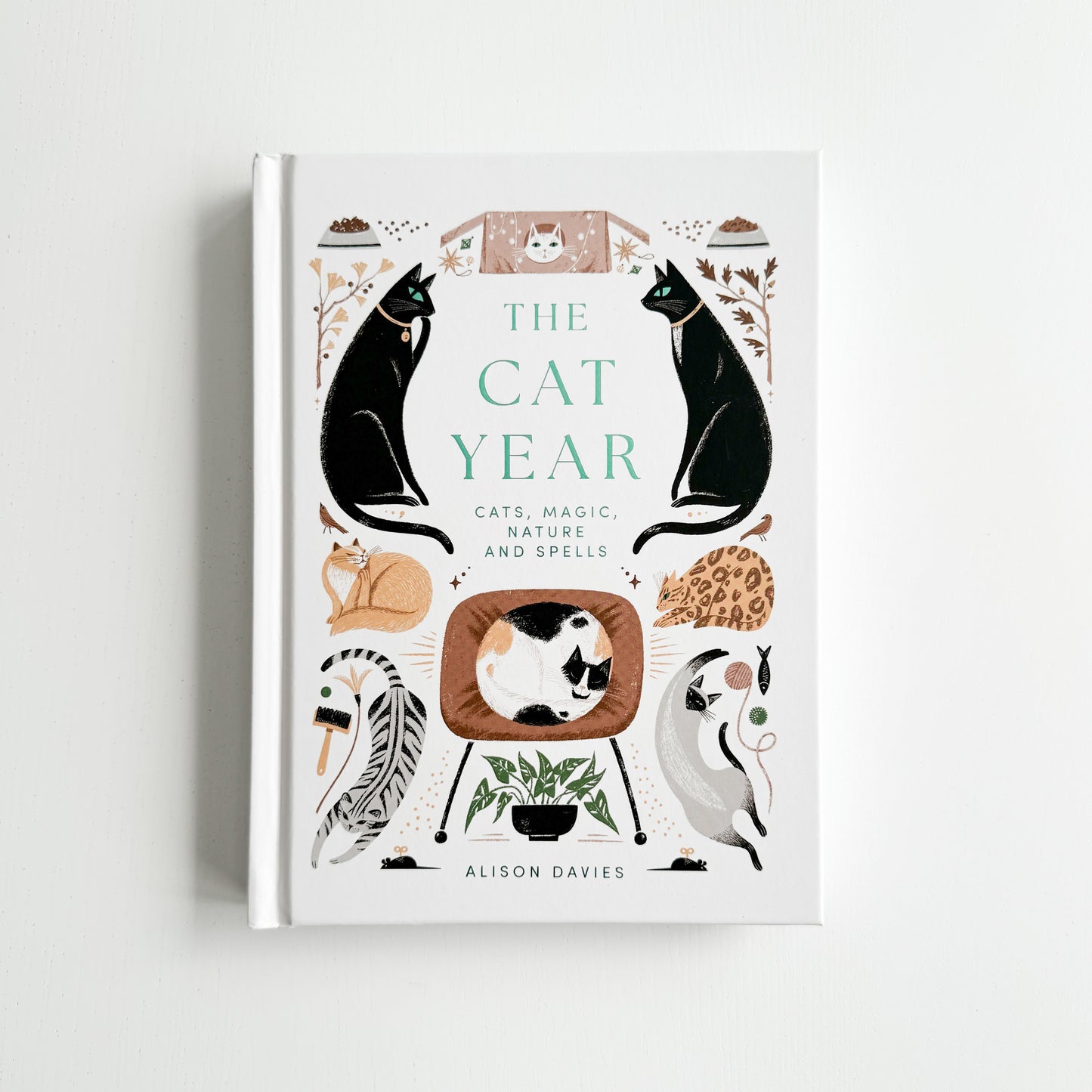 The Cat Year: Cats, Magic, Nature and Spells