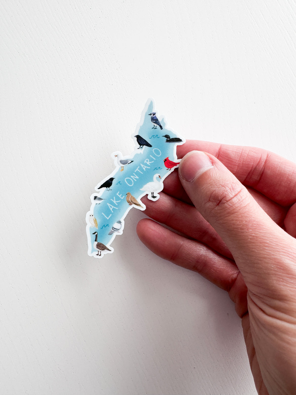 Birds of Lake Ontario Sticker