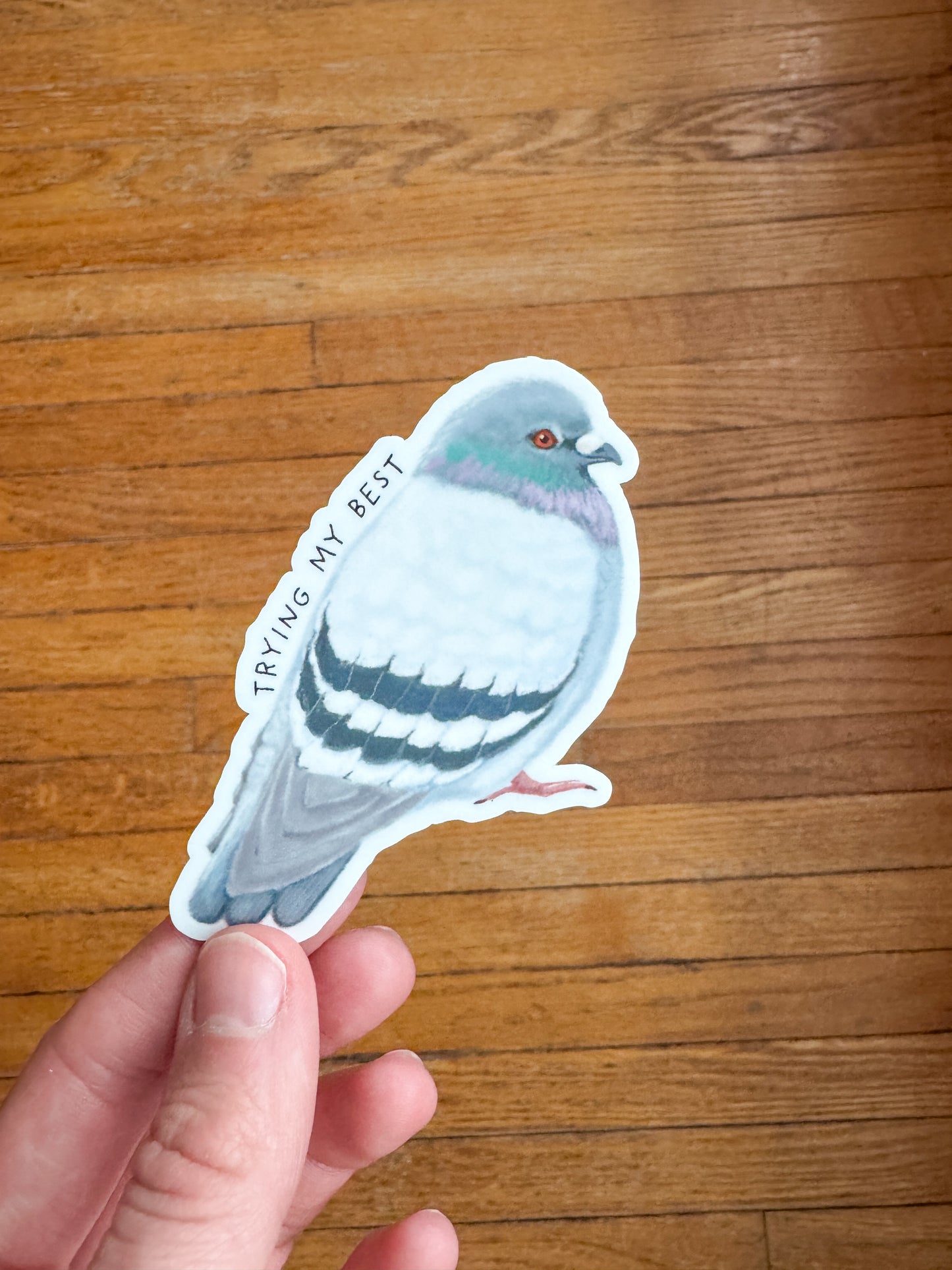 Trying My Best Pigeon Sticker