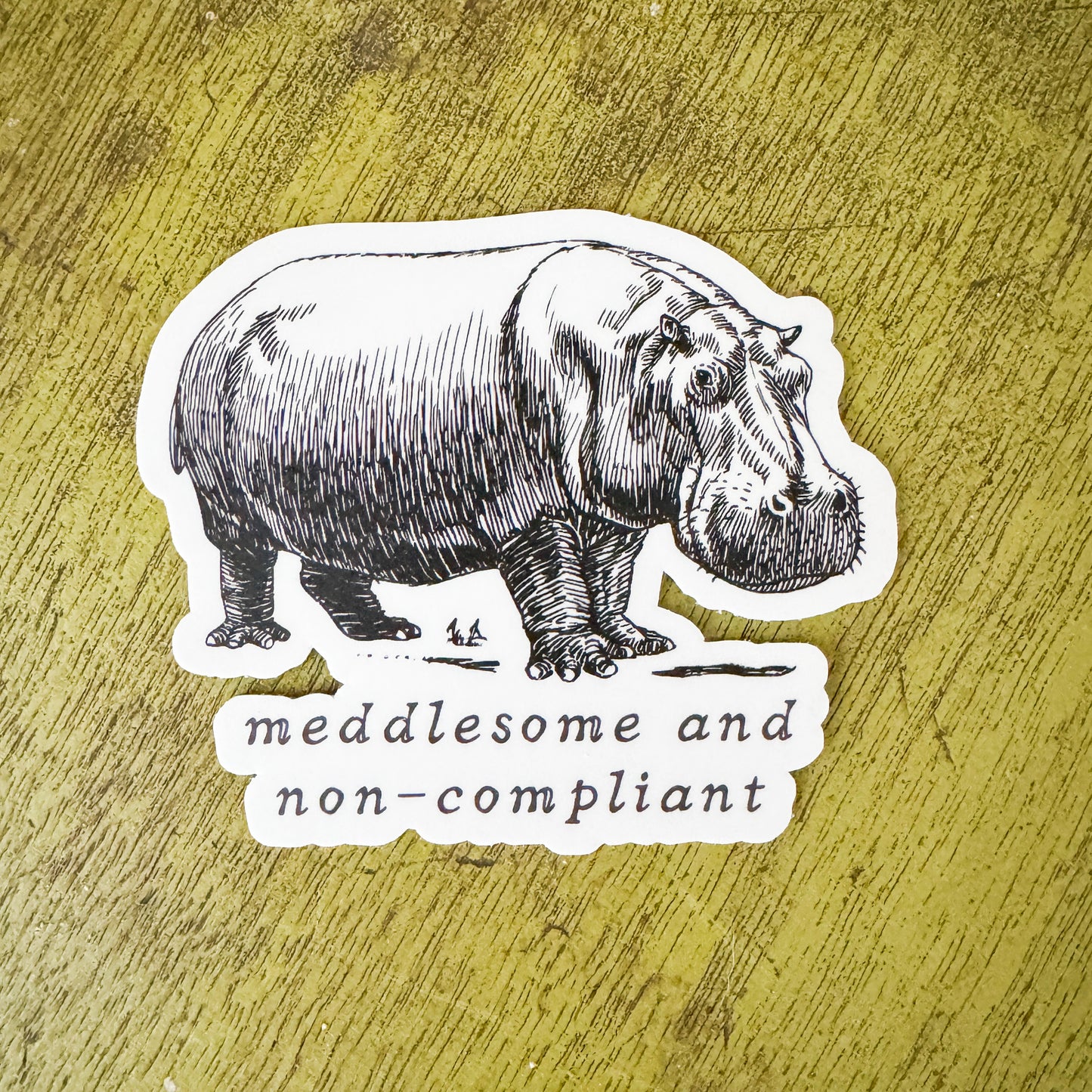 Meddlesome Hippo Vinyl Sticker