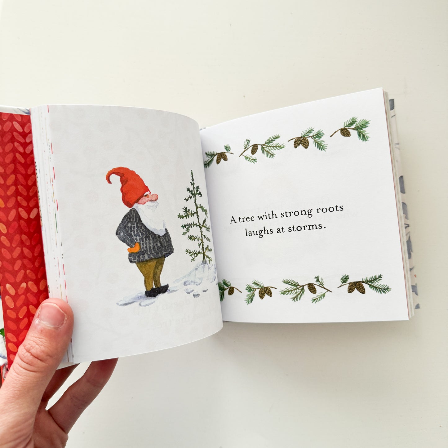 The Little Winter Book of Gnomes