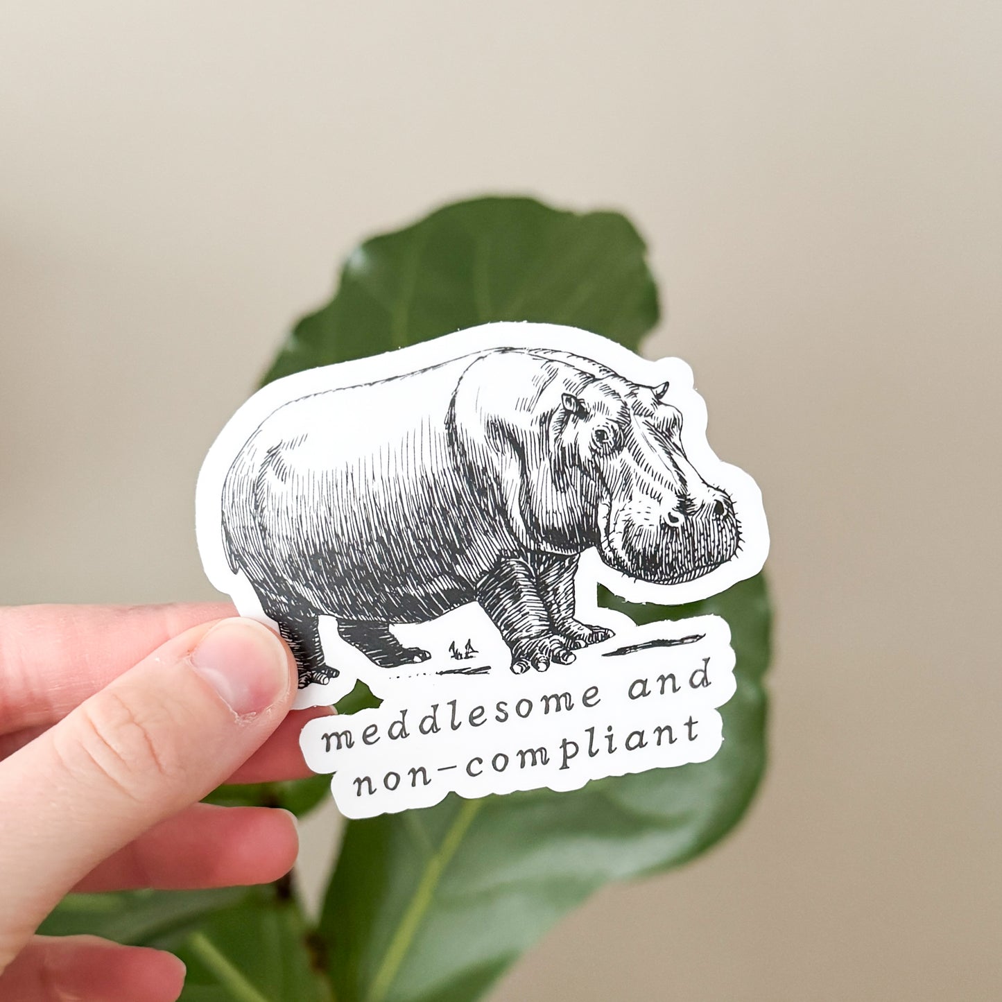 Meddlesome Hippo Vinyl Sticker