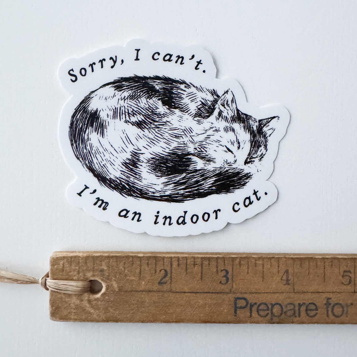 Indoor Cat XL Vinyl Sticker