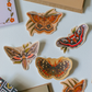 Field Crescent Butterfly Vinyl Sticker