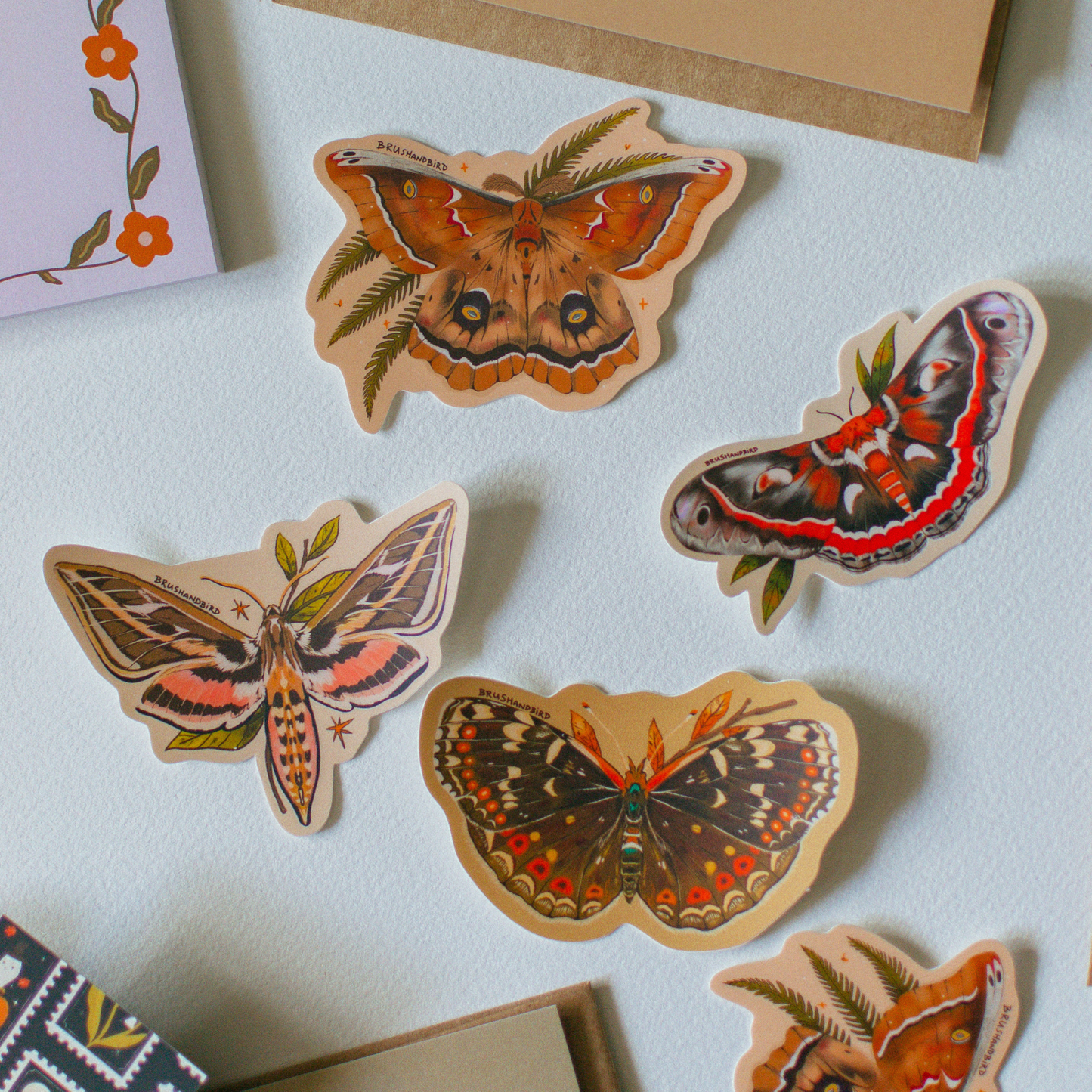 Field Crescent Butterfly Vinyl Sticker