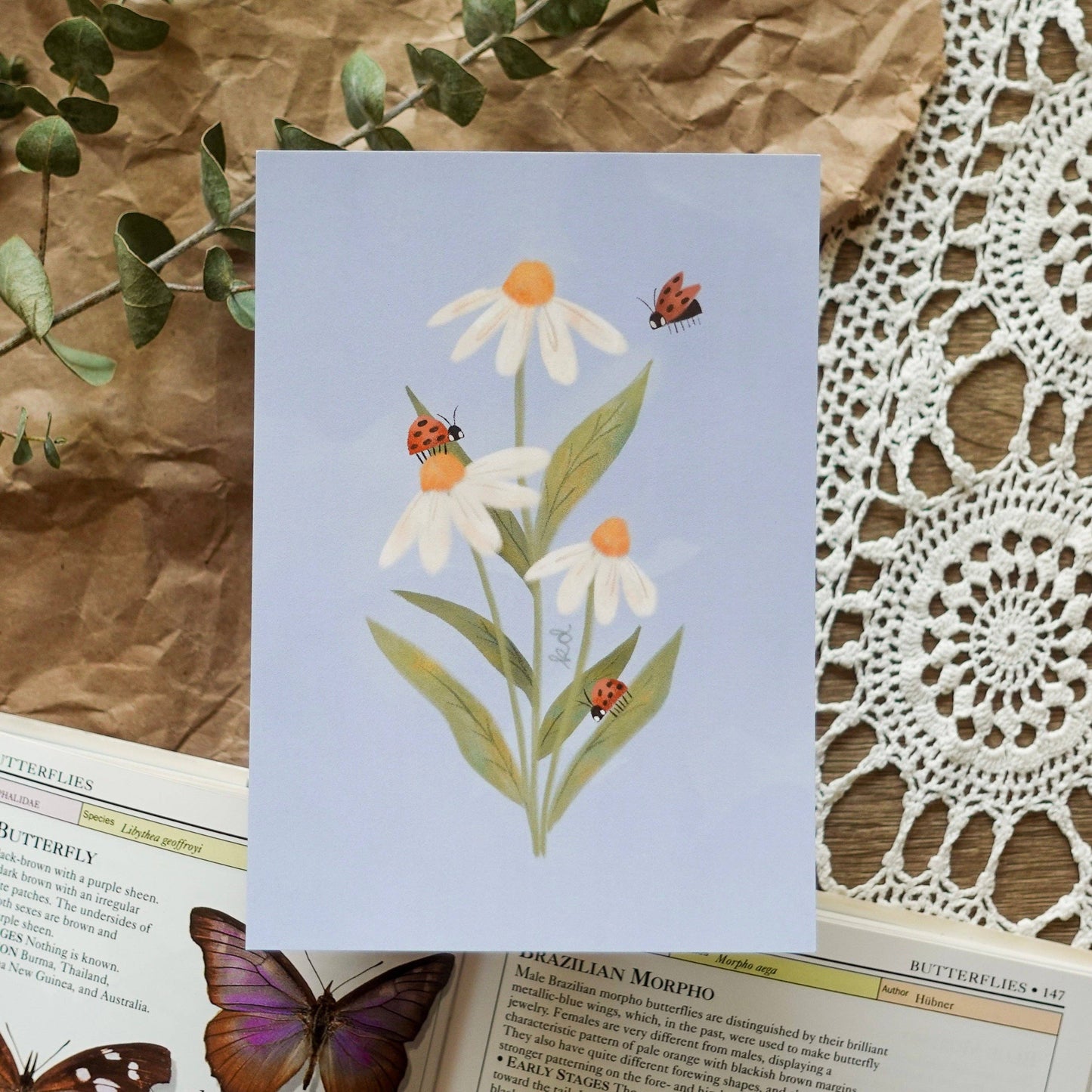 Daisies & Ladybugs Print - 4x6