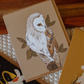 Barn Owl Greeting Card