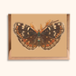 Field Crescent Butterfly Greeting Card