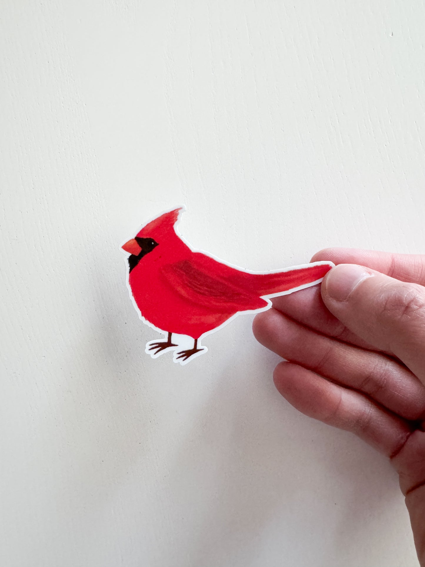 Cardinal Sticker