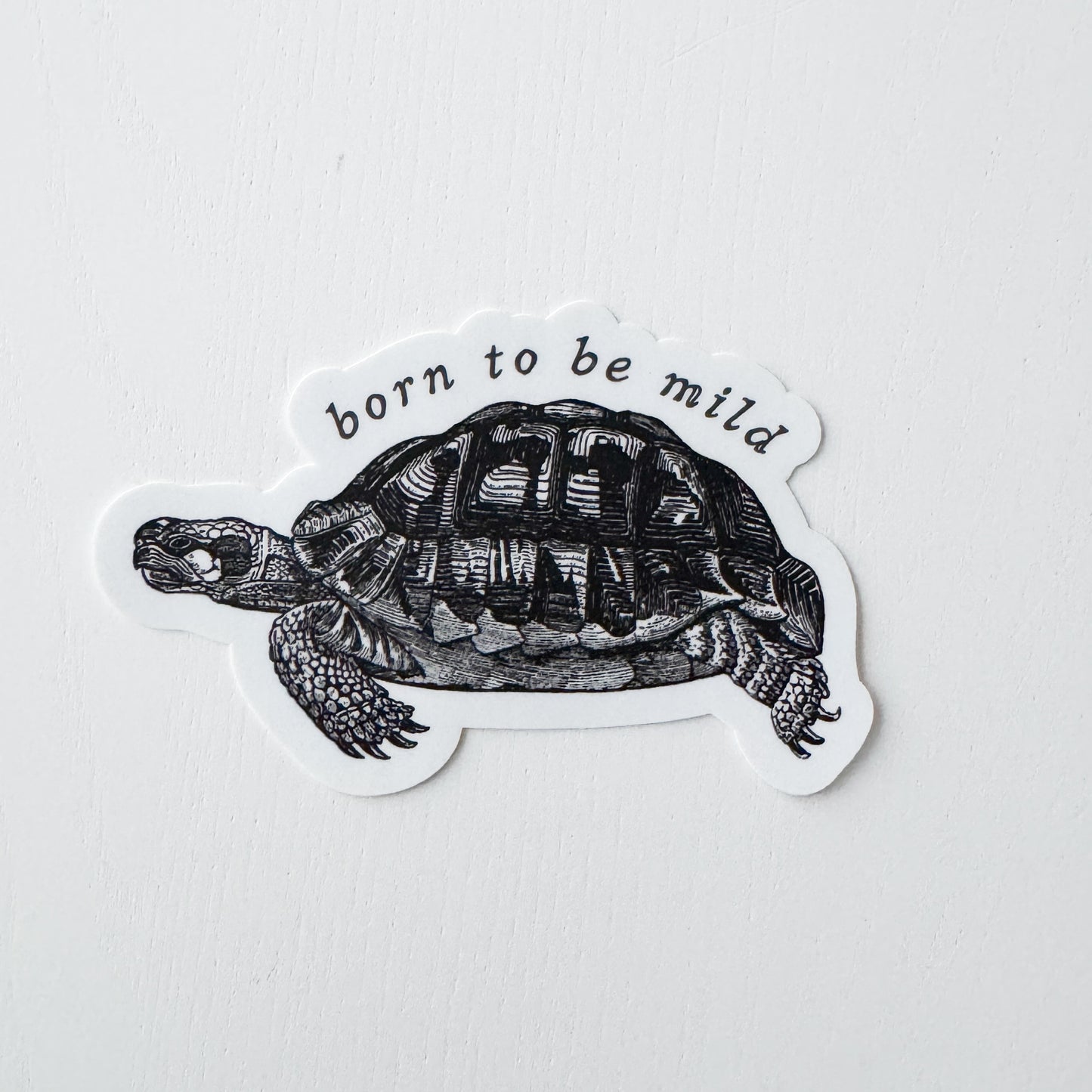 Mild Turtle Vinyl Sticker