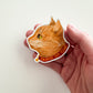 Orange Cat Club Sticker