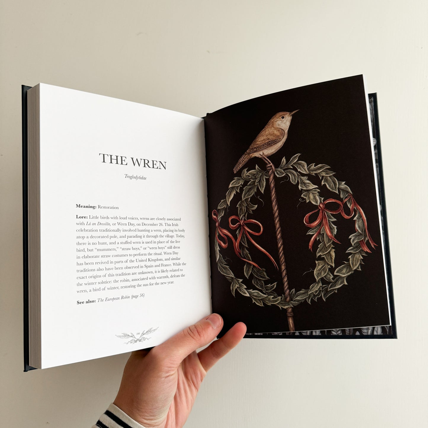 Ornithography: An Illustrated Guide to Bird Lore & Symbolism