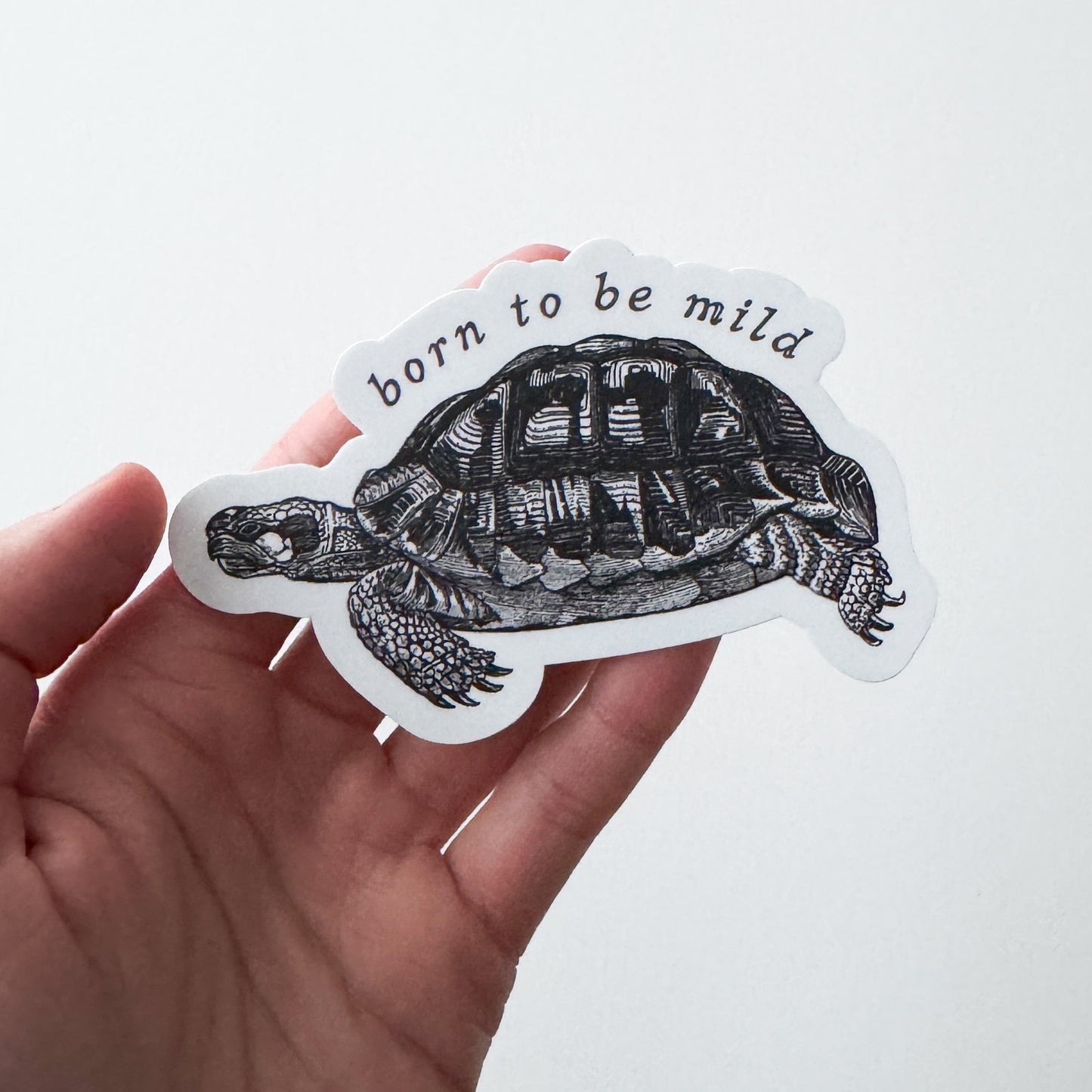 Mild Turtle Vinyl Sticker