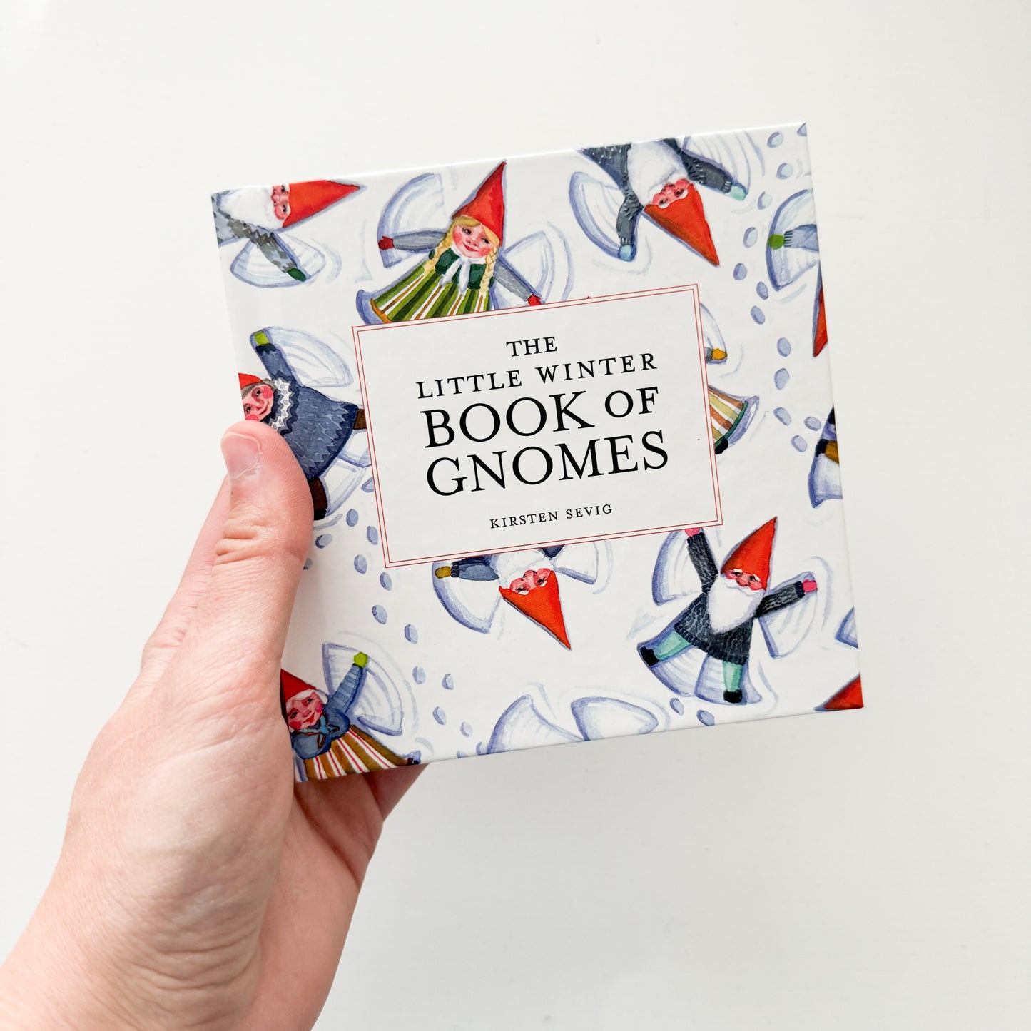 The Little Winter Book of Gnomes