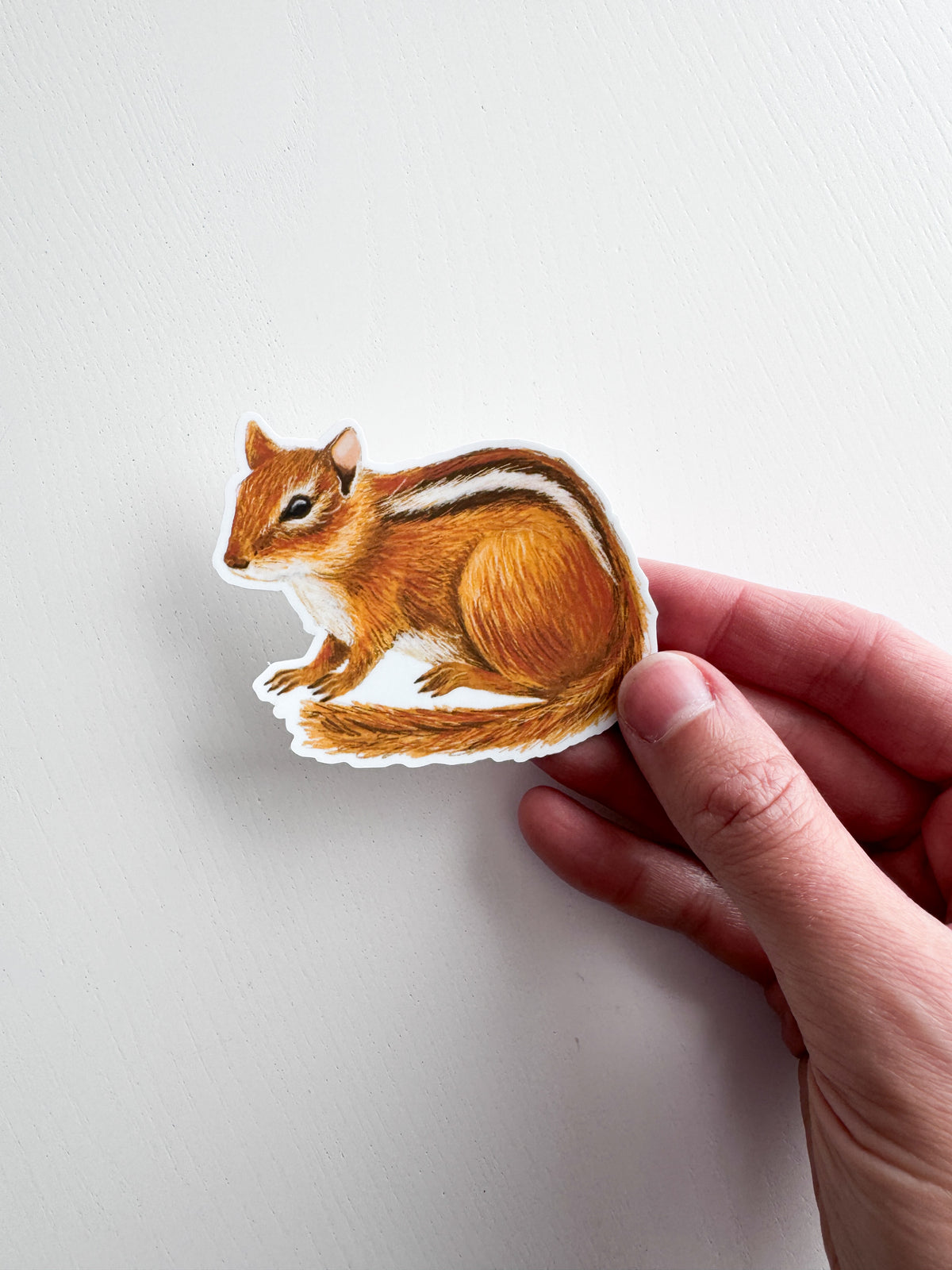 Chipmunk Sticker