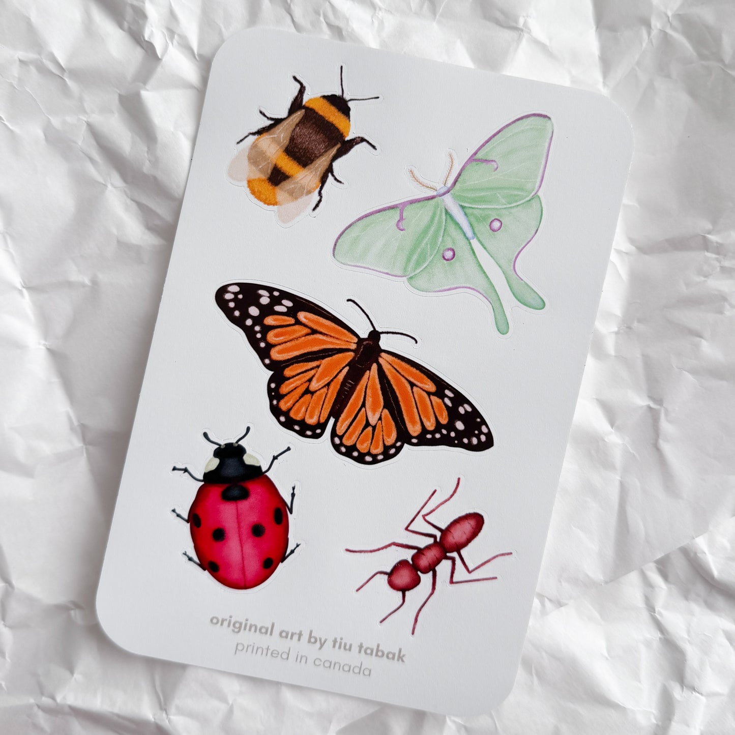 Bugs 4x6 Vinyl Sticker Sheet