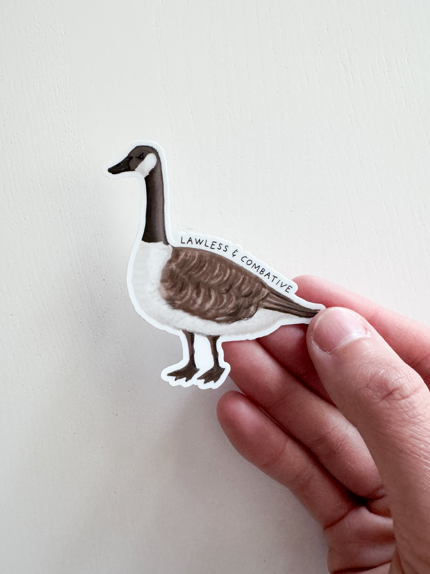 Combative Canada Goose Sticker