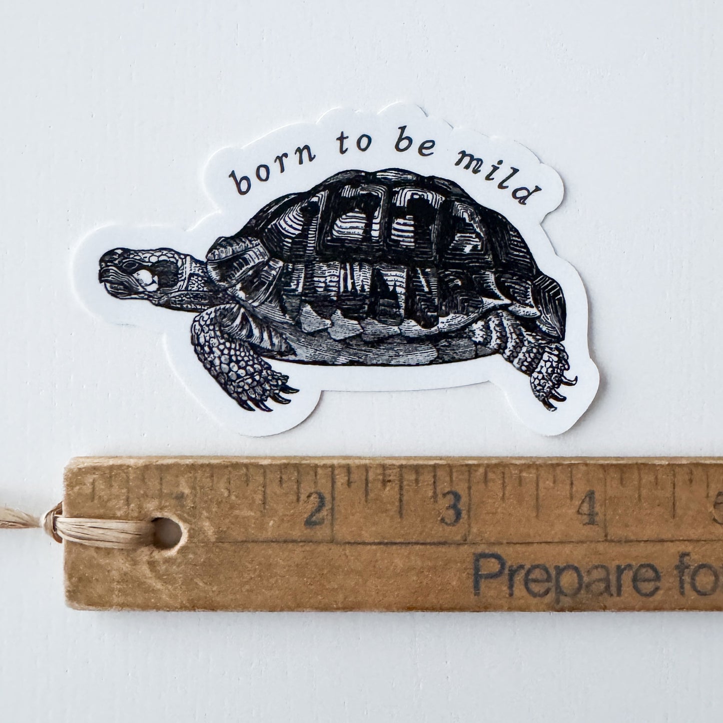 Mild Turtle Vinyl Sticker