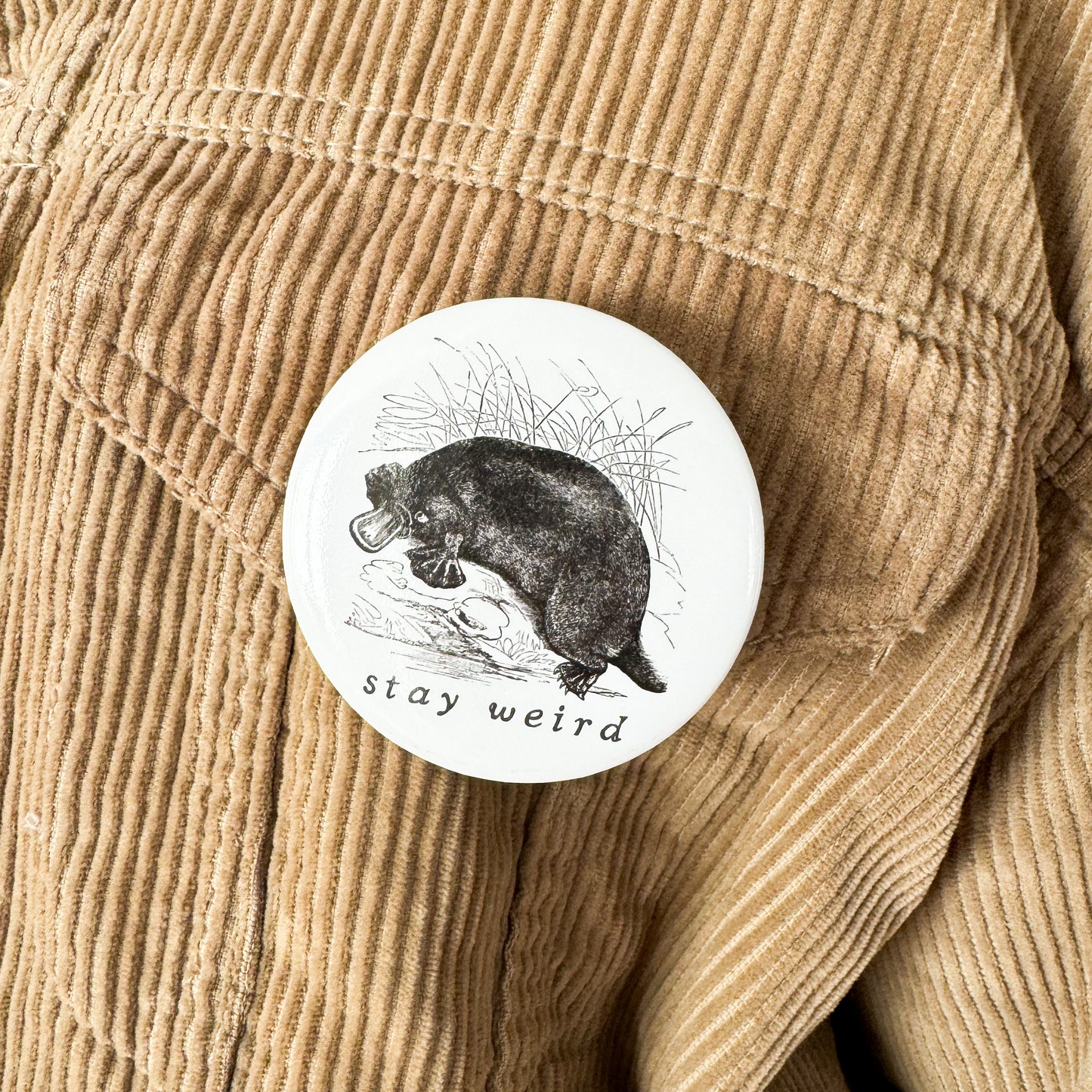 Pin-Back Buttons