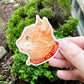 Orange Cat Club Sticker