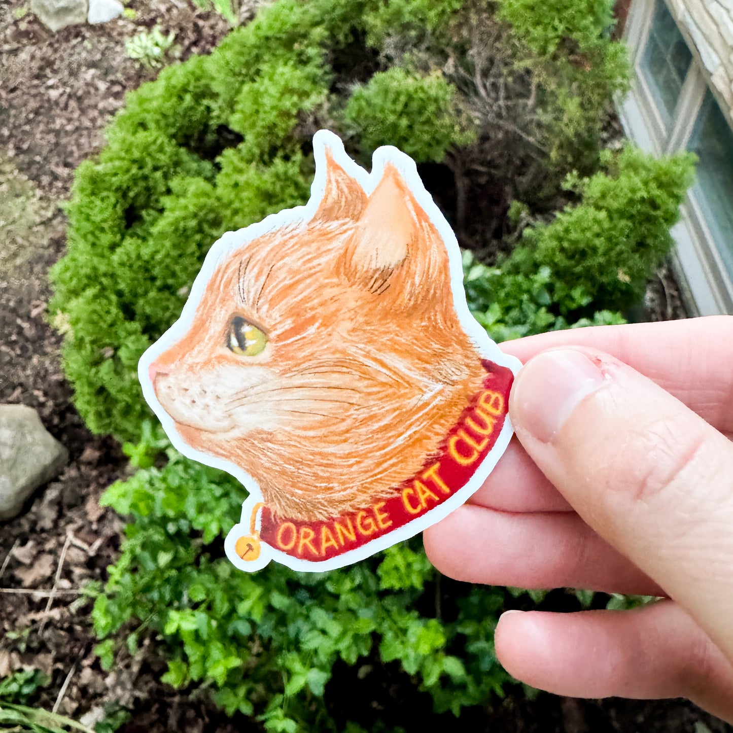 Orange Cat Club Sticker