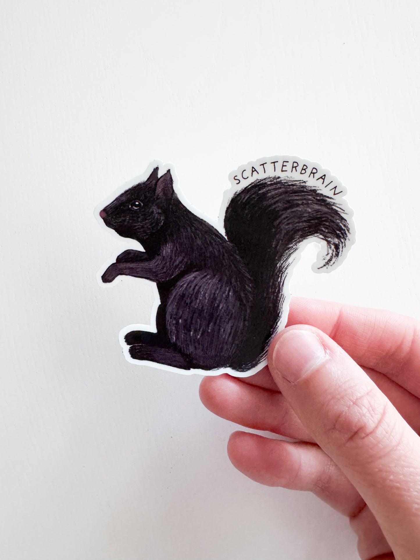 Scatterbrain Squirrel Sticker