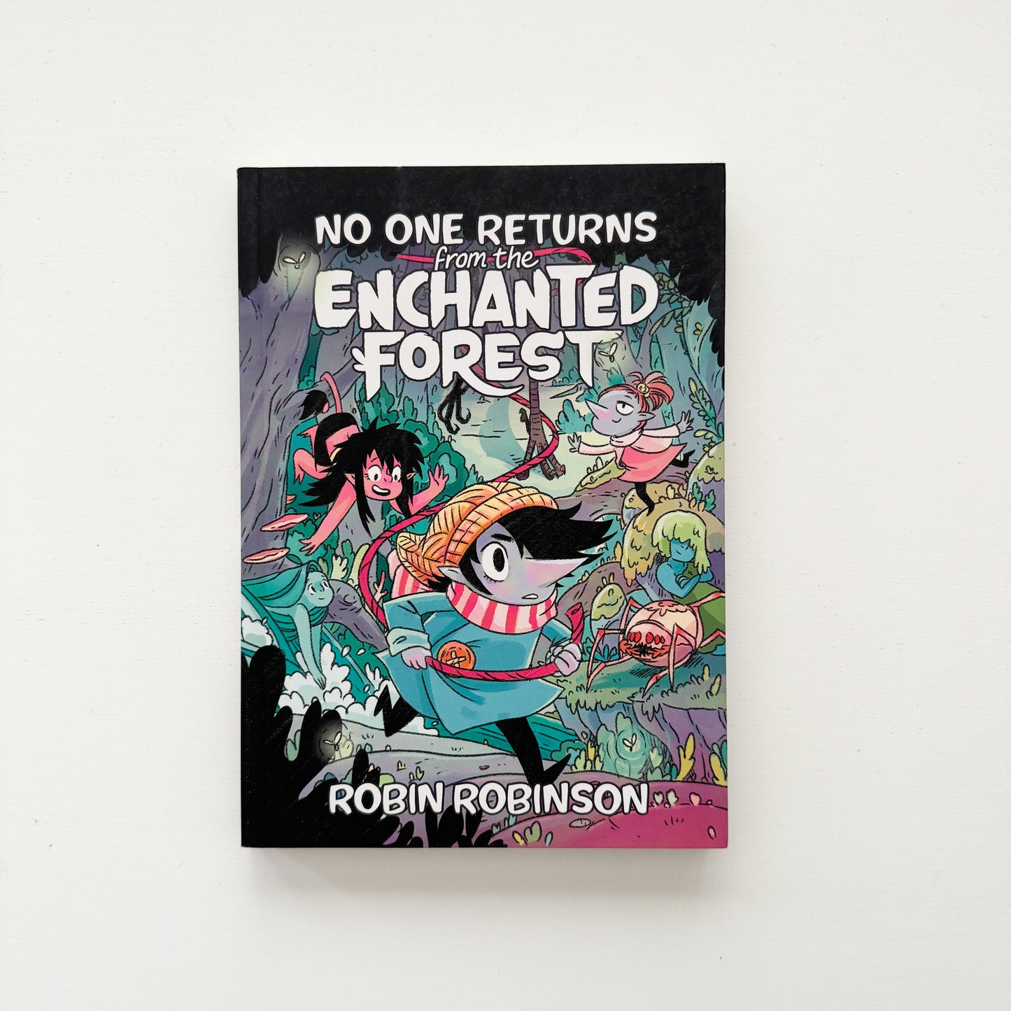 No One Returns From the Enchanted Forest: A Graphic Novel