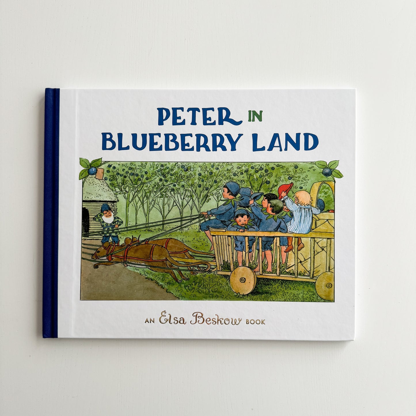 Peter in Blueberry Land