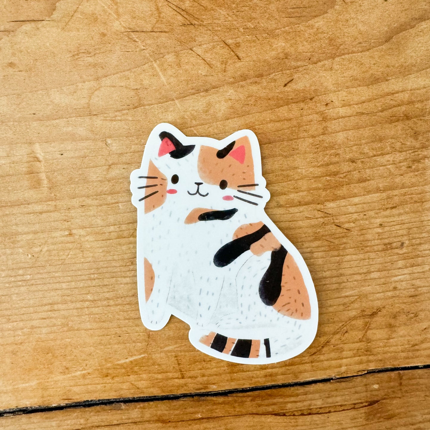 Individual Kitty Cat Vinyl Stickers