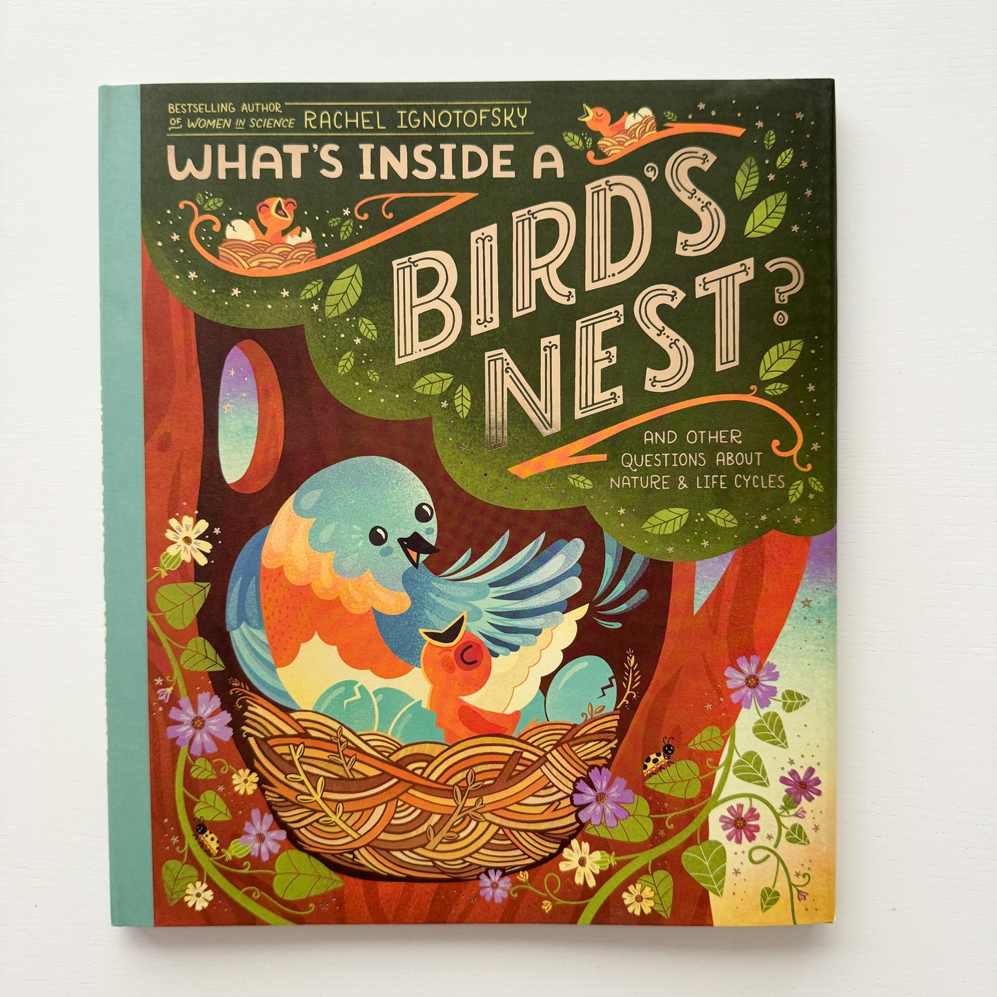 What's Inside a Bird's Nest?: And Other Questions About Nature & Life Cycles