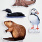 Surly Walrus Sticker