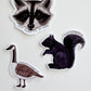 Combative Canada Goose Sticker