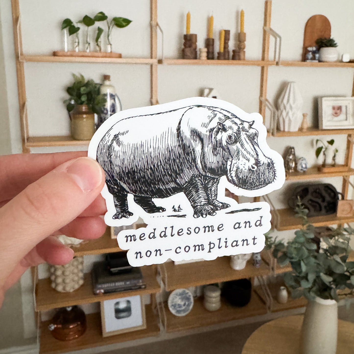 Meddlesome Hippo Vinyl Sticker