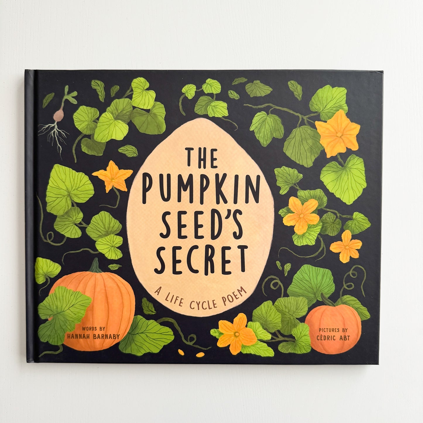 The Pumpkin Seed's Secret: A Life Cycle Poem