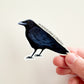 Mischievous & Crafty Crow Sticker