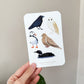 Canadian Birds (Option One) 4x6 Vinyl Sticker Sheet