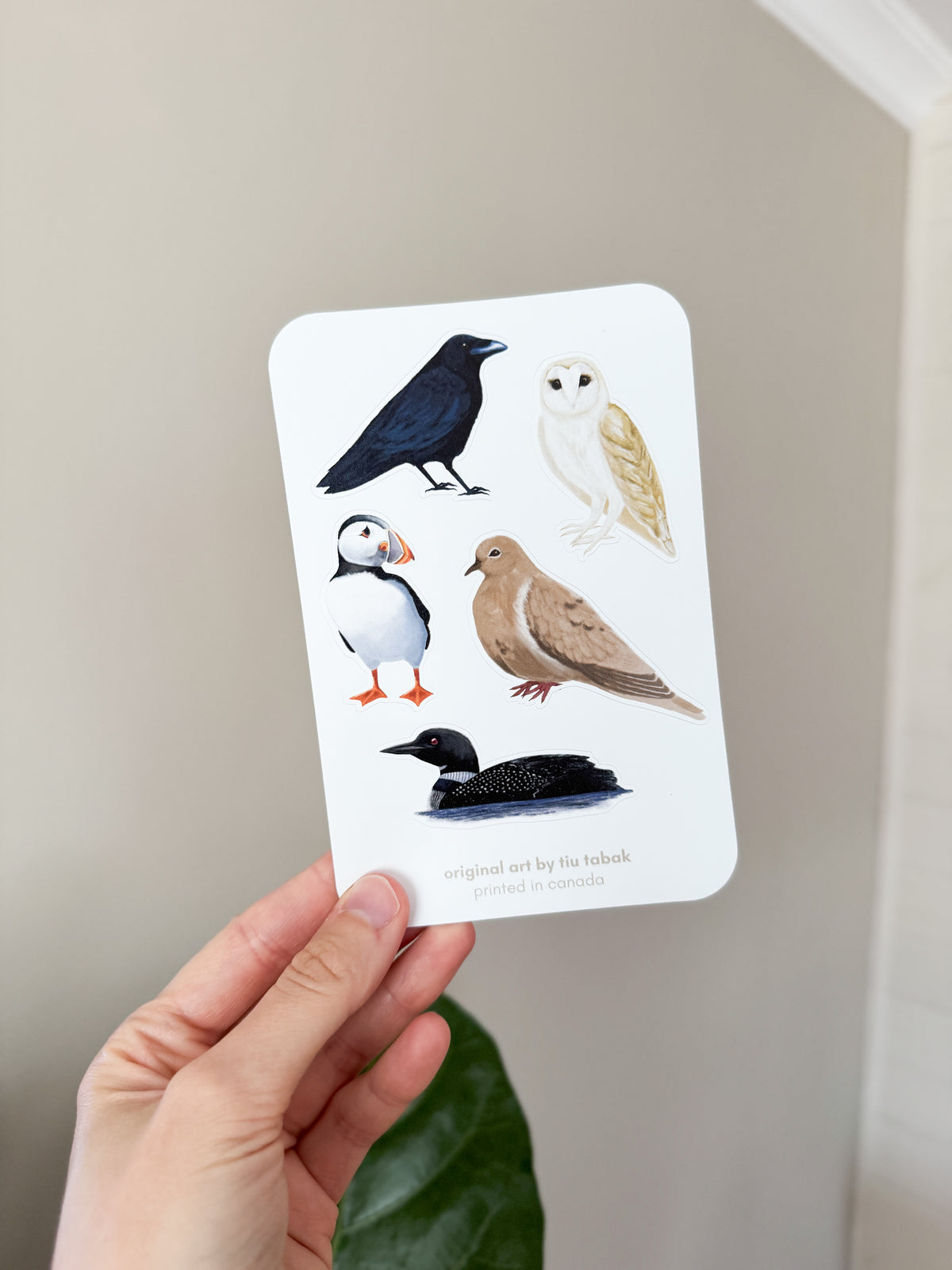 Canadian Birds (Option One) 4x6 Vinyl Sticker Sheet