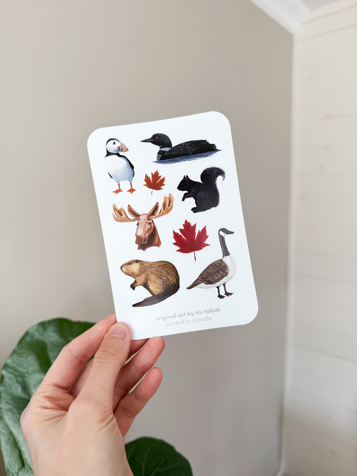 Canada Wildlife 4x6 Vinyl Sticker Sheet